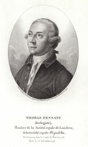 Thomas Pennant by Thomas Gainsborough
