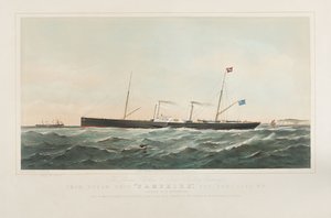The SS 