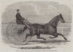 Jackey, the Winner of the late Aintree Trotting Stakes at Liverpool by Thomas Harrington Wilson