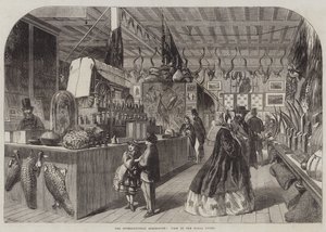 The International Exhibition, View in the Natal Court