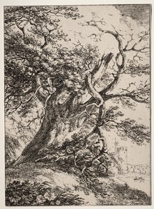 Specimens of Polyautography: Landscape with an Oak Tree by Thomas Hearne