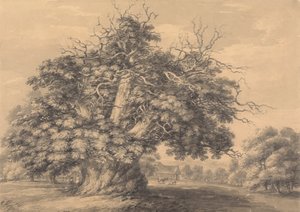 The Chestnut Tree at Little Wymondley, Hertfordshire