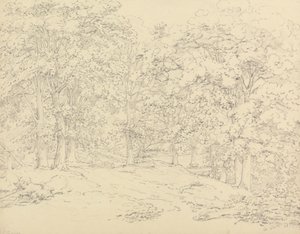 Trees in Ashtead Park, Surrey by Thomas Hearne
