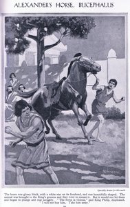 Alexander
