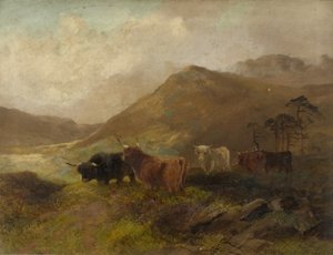 Summertime on the Cheviots