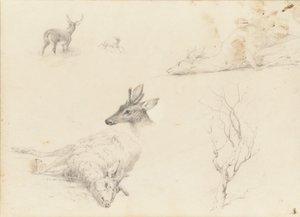Sketchbook of Landscape and Animal Subjects, 1860-64