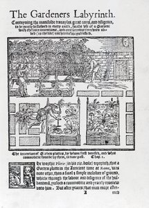 Arbour built as a shade against the sun and planting in raised beds, from The Gardeners Labyrinth, 1577 by Thomas Hill