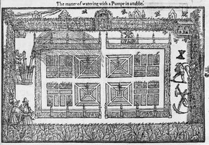 The manner of watering with a pump in a tub, from The Gardeners Labyrinth, 1577