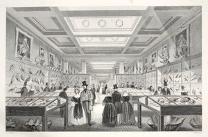 British Museum, Zoological Gallery, from 