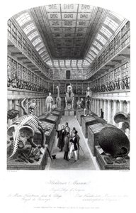 The Hunterian Museum, Illustration to 