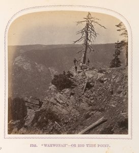 Wahwonah — Or Big Tree Point