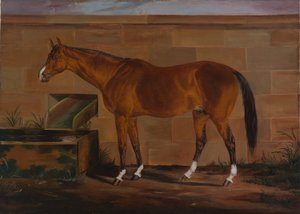 Portrait of Lexington by Thomas J. Scott