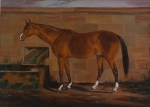 Portrait of Lexington, ca. 1857 by Thomas J. Scott