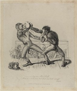Monkeys Boxing, from Monkey-ana by Thomas Landseer