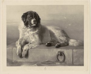 Portrait of the Rescue Dog Bob, Lying on a Pier (title on object: A Distinguished Member of the Humane Society)