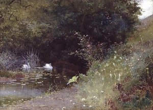 Swans on a Lake by Thomas Mackay