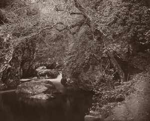 The Dargle Hole by Thomas Marcus Brownrigg