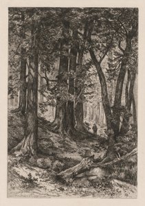 Interior of a California Forest (after Thomas Moran) by Thomas Moran