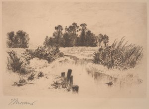 Passaic Meadows (In the Newark Meadows)
