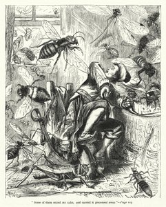 Illustration for Gulliver’s Travels by Jonathan Swift by Thomas Morten