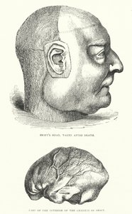 Illustration for life of Jonathan Swift by Thomas Morten