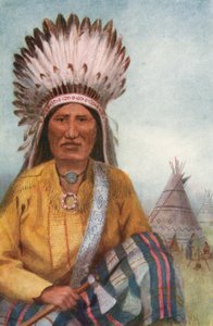 An Indian Chief by Thomas Mower Martin