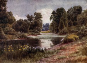 Kew Gardens: The Lake, Looking South by Thomas Mower Martin