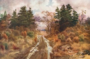 Road near the Bay of Fundy, Autumn by Thomas Mower Martin