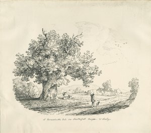 Arley - Shatterfort Height