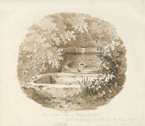 Biddulph - Ancient Well in Knypersley Woods