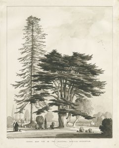 Haughton Rectory by Thomas Peploe Wood