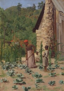 The Way They Live, 1879