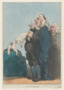 A Councillor