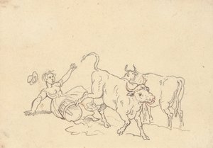Album Drawing