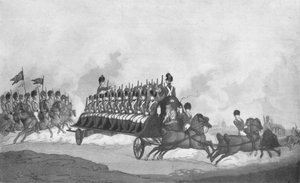 Expedition or Military Fly, c1780-1820, 1909