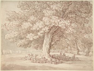 Herd of Deer Under an Oak Tree by Thomas Rowlandson
