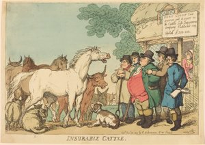 Insurable Cattle