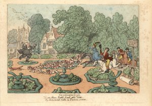 Parson cursing foxhunters and hounds trampling his garden