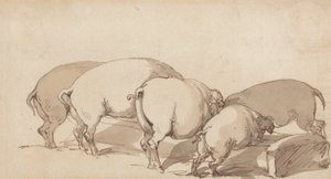 Pigs at a Trough, c.1790 by Thomas Rowlandson