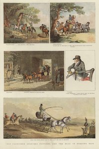 Series of equestrian illustrations
