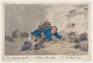 The Apostate Jack Robinson, The Political Rat Catcher-N.B. Rats Taken Alive! by Thomas Rowlandson