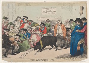 The Wonderful Pig, April 12, 1785