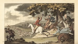 Young English Gentleman Riding with Hounds in a Stag Hunt