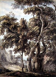 Study of Trees