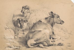 A Cow and Two Rams by Thomas Sidney Cooper