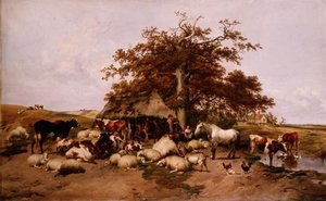 The Midday Rest