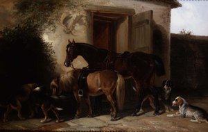 At the Trough