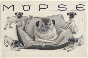 Pugs by Thomas Theodor Heine