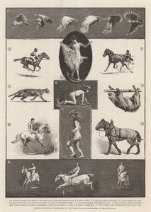 Motions of Animals Illustrated by the Instantaneous Photographs of Mr Muybridge