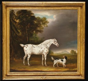 Appaloosa Horse and spaniel, 1807